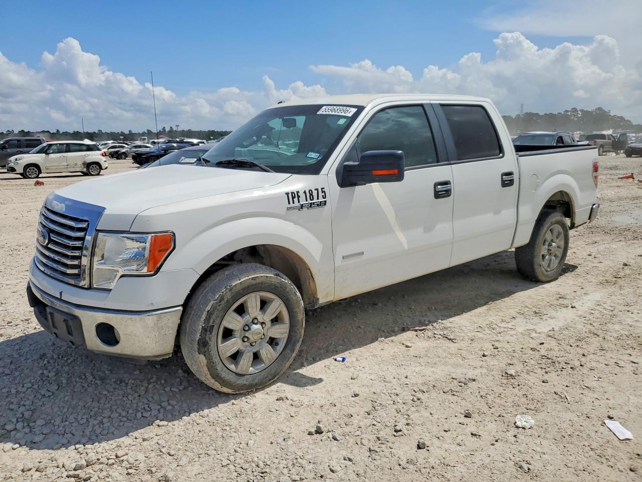 FORD F-150